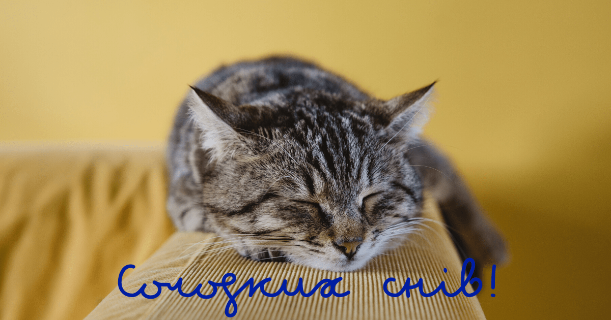 5-ways-to-say-goodnight-in-ukrainian-ukrainian-lessons